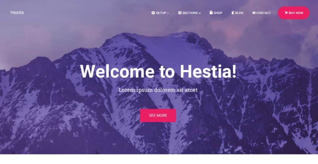 8ème thème wordpress de notre classement des meilleurs thèmes wordpress gratuits : le thème Hestia