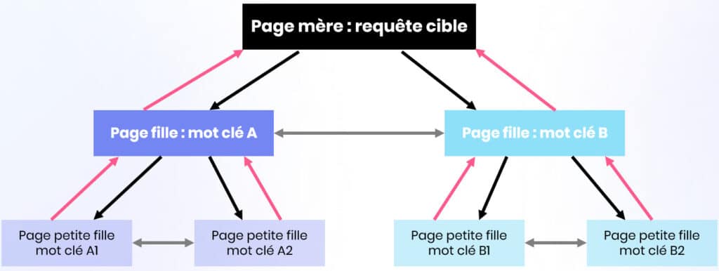 Cocon sémantique SEO